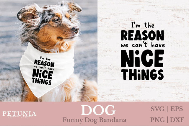 Dog Bandana SVG | Funny Dog SVG SVG Petunia Digital Design 