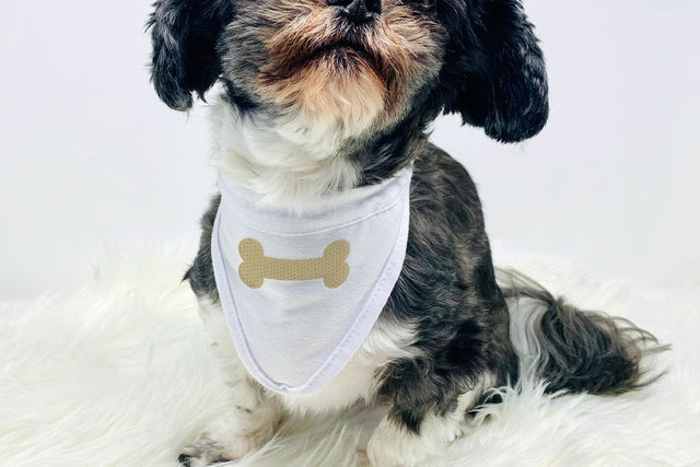 Dog Bone Mini Embroidery Embroidery/Applique DESIGNS Designed by Geeks 