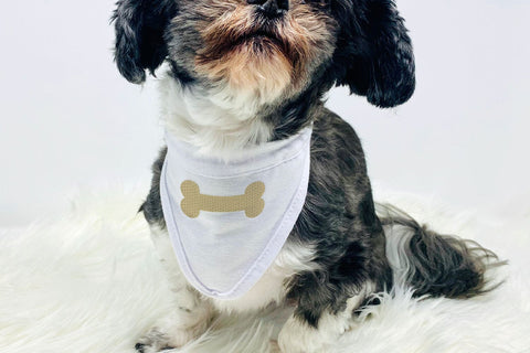 Dog Bone Mini Embroidery Embroidery/Applique DESIGNS Designed by Geeks 