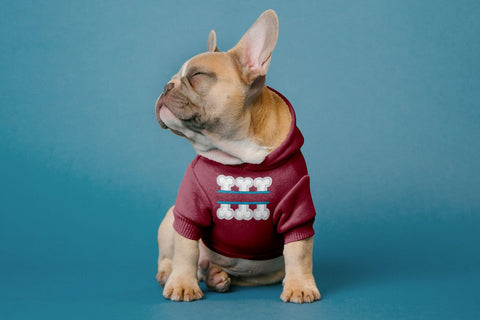 Dog Bone Split Applique Embroidery Embroidery/Applique DESIGNS Designed by Geeks 