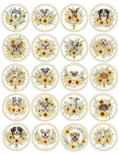 Dog Breed Sunflower Stickersheet Bundle • 20 Dog Portraits • Sublimation Clipart • Floral Dog SVG Set • Pet Lover Designs • SVG,PNG,JPG,PDF,DXF SVG Sarahs Artistic Studio 