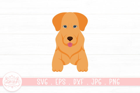 Dog Breeds Bundle SVG dapiyupi store 