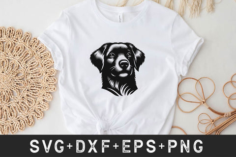 Dog Svg Files Bundle SVG Rupkotha 