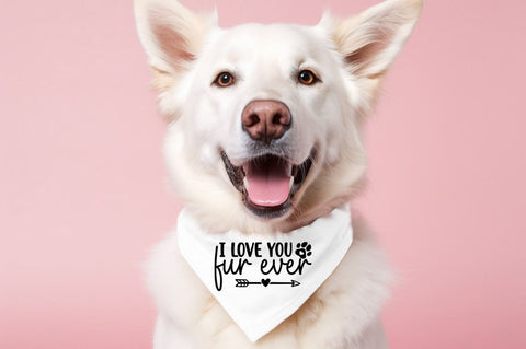 Dog Valentine SVG Bundle SVG Designangry 