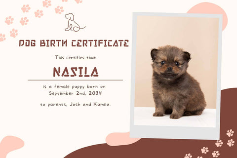 Doggy Funky Font Prasetya Letter 