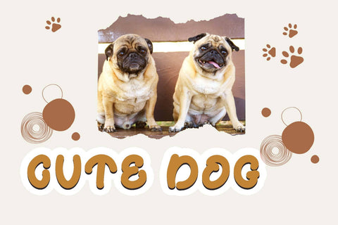 Doggy Papaw Font Prasetya Letter 