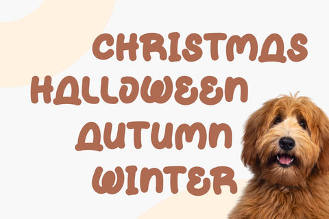 Doggy Pipom Font Prasetya Letter 