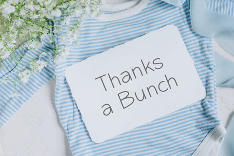 Domestic Pigeon - Cute Handwritten Font Font Timur type 