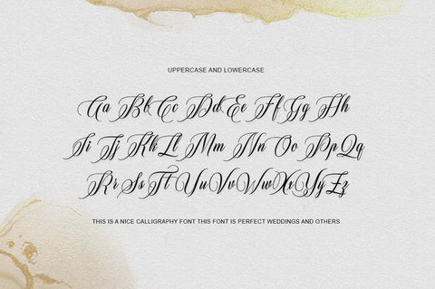 Dora Fonna Font WsStudio 