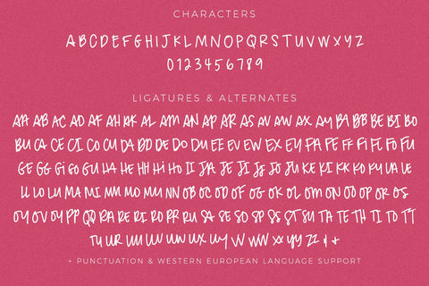 Downtown Market Handwriting Font Font Beck McCormick 