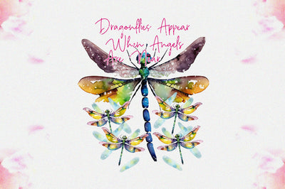 Dragonflies Appear When Angels Are Near Sublimation Sublimation Jagonath Roy 