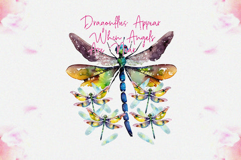 Dragonflies Appear When Angels Are Near Sublimation Sublimation Jagonath Roy 