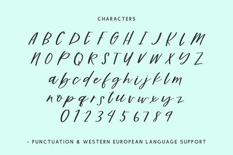 Dreamwild Script Font Beck McCormick 
