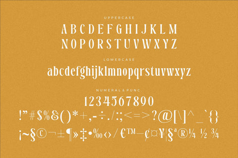 Dreavolt - Serif Display Font Font Storytype Studio 