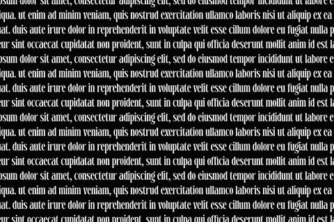 Dreavolt - Serif Display Font Font Storytype Studio 