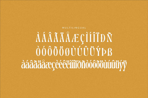 Dreavolt - Serif Display Font Font Storytype Studio 