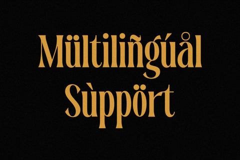 Dreavolt - Serif Display Font Font Storytype Studio 