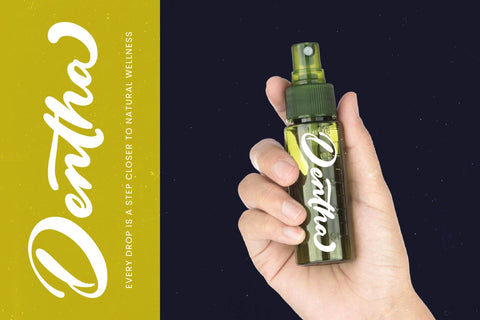 Drink South - Bold Calligraphy Font Font Letterena Studios 