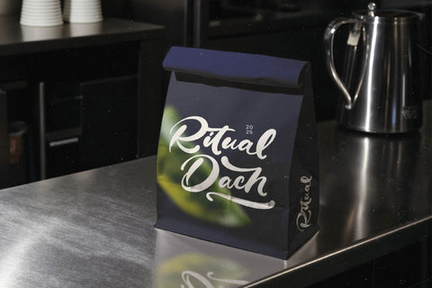 Drink South - Bold Calligraphy Font Font Letterena Studios 