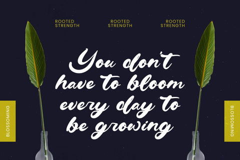 Drink South - Bold Calligraphy Font Font Letterena Studios 