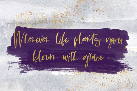 Duchess Script Font Font Beck McCormick 