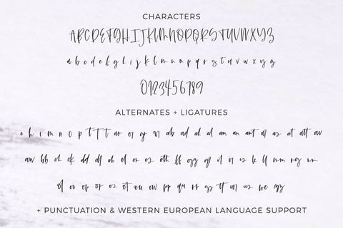 Duchess Script Font Font Beck McCormick 