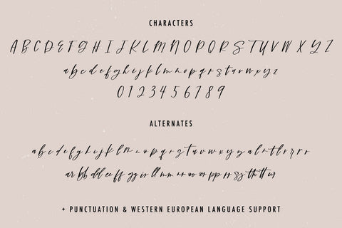 Dynamite Script Font Beck McCormick 
