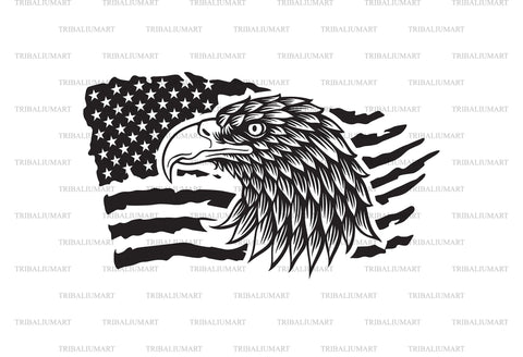Eagle and USA grunge flag SVG TribaliumArtSF 