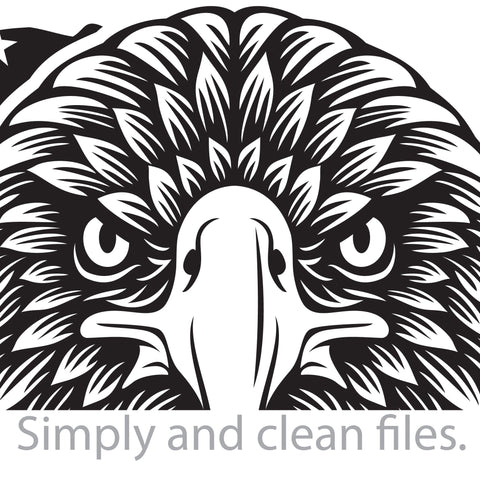 Eagle and USA grunge flag SVG TribaliumArtSF 