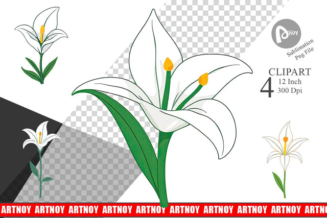 Easter Lily Clipart Sublimation artnoy 