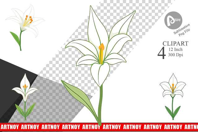 Easter Lily Clipart Sublimation artnoy 