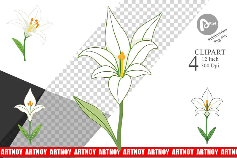 Easter Lily Clipart Sublimation artnoy 