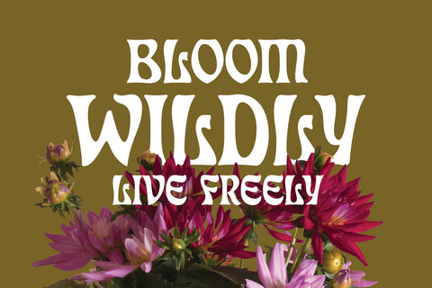 Eckmann Moderne Elegant Art Nouveau Font Font FontDuo 