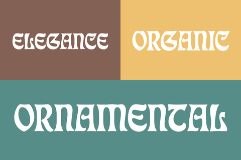 Eckmann Moderne Elegant Art Nouveau Font Font FontDuo 