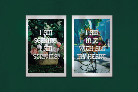 Eckmann Moderne Elegant Art Nouveau Font Font FontDuo 