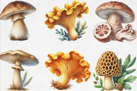 Edible Mushrooms Sublimation Clipart Sublimation SVGista 