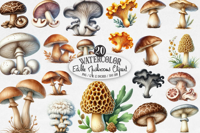 Edible Mushrooms Sublimation Clipart Sublimation SVGista 