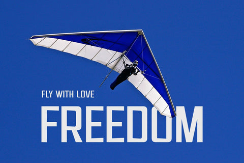 Edvolution - Modern Sans Serif Font studioalmeera 