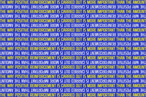 Edvolution - Modern Sans Serif Font studioalmeera 