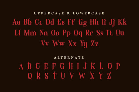 Egoshic - Serif Display Font Font twinletter 