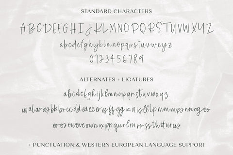 Eireann Signature Script Font Font Beck McCormick 
