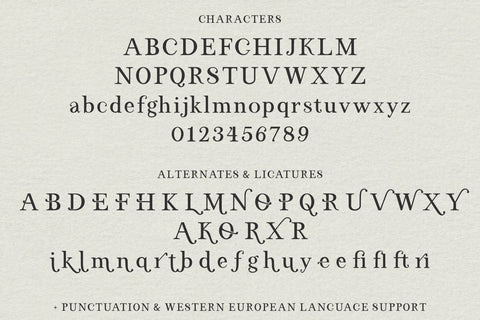 El Capistrano Serif Font Font Beck McCormick 