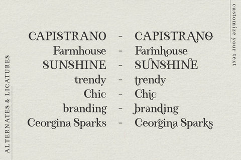 El Capistrano Serif Font Font Beck McCormick 