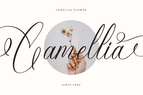 Eladorna Gladiota - Beauty Calligraphy Script SVG Letterena Studios 