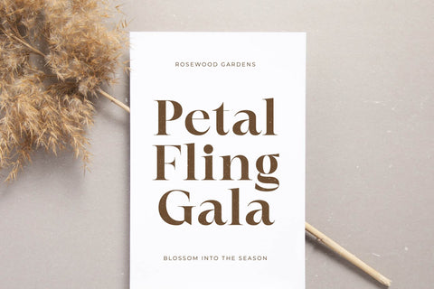 Elegan Blend - Modern Serif Font Font Letterena Studios 