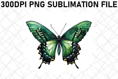 Elegant Butterfly Sublimation Art Pack Sublimation afrosvg 