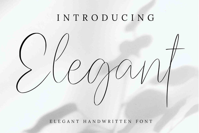 Elegant Font LetterdayStudio 