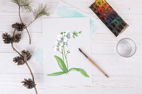 Elegant Hand-Painted Orchid Clip Art Bundle Sublimation DIYCUTTINGFILES 