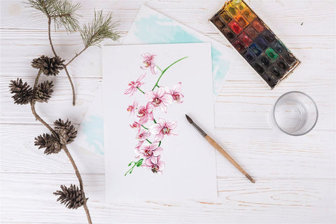 Elegant Hand-Painted Orchid Clip Art Bundle Sublimation DIYCUTTINGFILES 