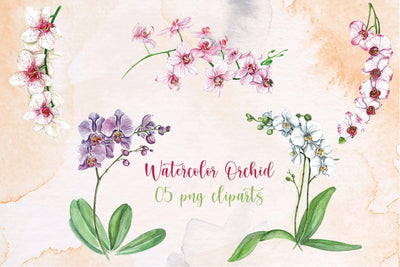 Elegant Hand-Painted Orchid Clip Art Bundle Sublimation DIYCUTTINGFILES 
